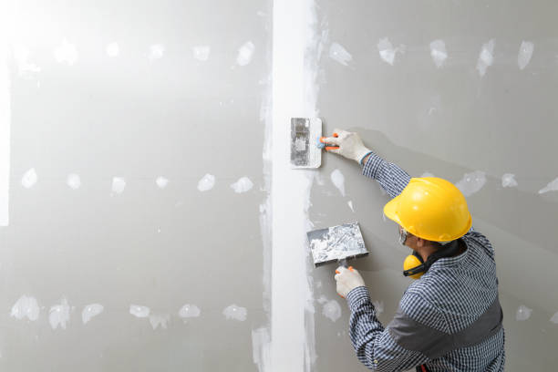 Best Post-Construction Mold Inspection  in Lukachukai, AZ