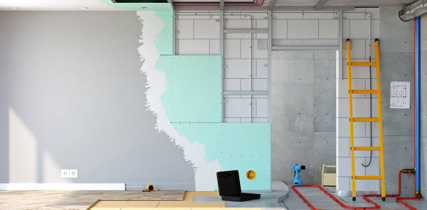 Reliable Lukachukai, AZ Mold Removal Solutions