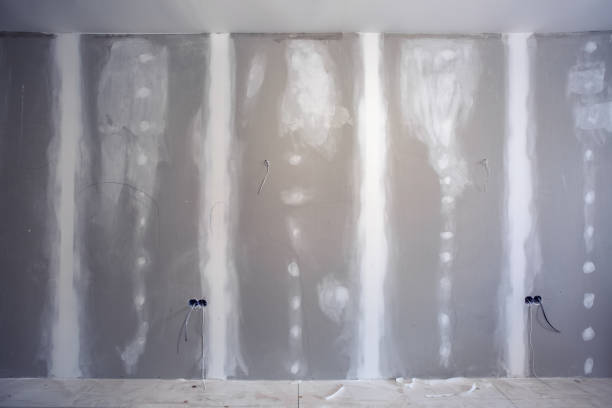 Best Environmental Consulting for Mold Prevention  in Lukachukai, AZ