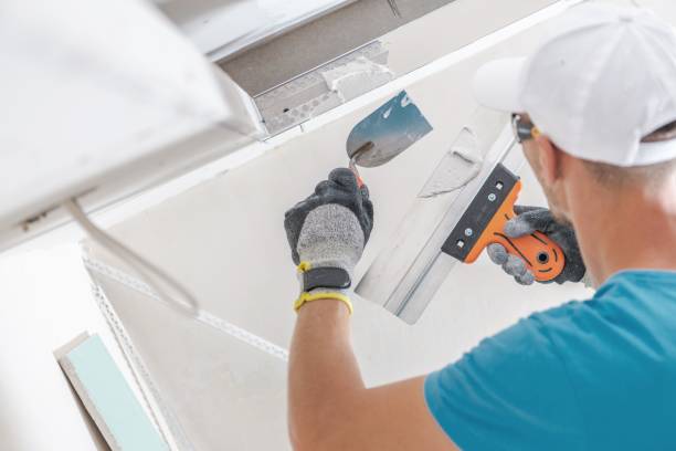 Best Emergency Mold Remediation  in Lukachukai, AZ